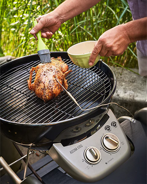 Barbecue elettrico
