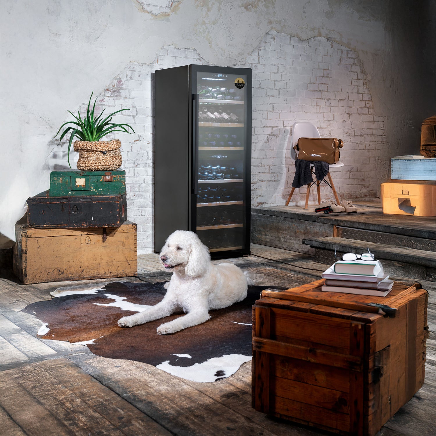 Cantinetta frigo WineExclusive 126 Falstaff caso design CSO 00729 Kunzi Shop 2