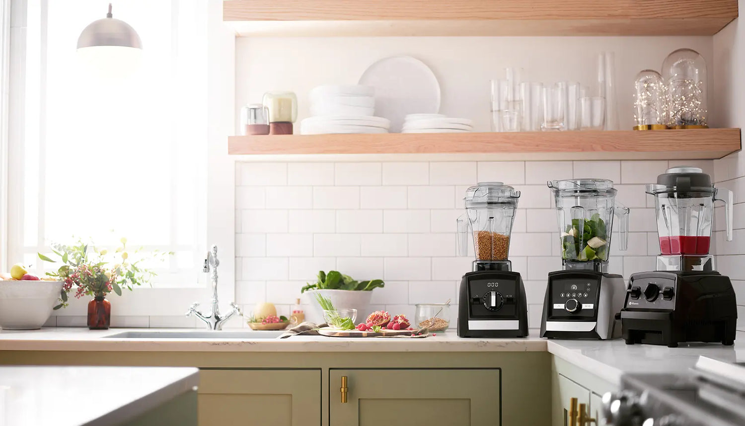 Vitamix Ascent e Explorian