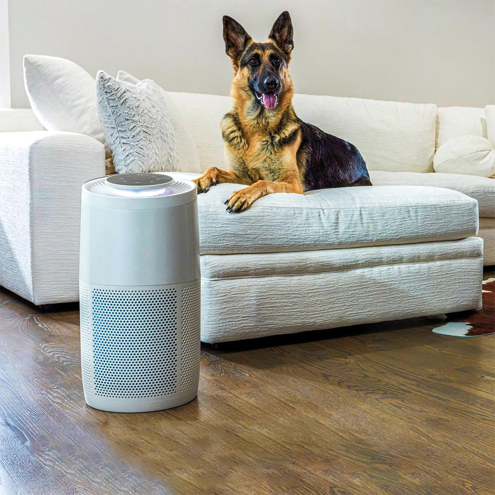 instant-air-purifiers