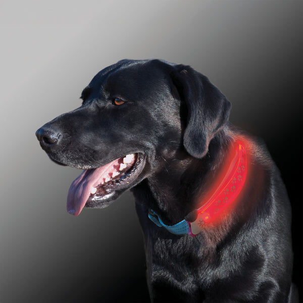 Nite Dawg Led Collar Cover - Grey nite ize NIZ NDCC GY Kunzi Shop 2