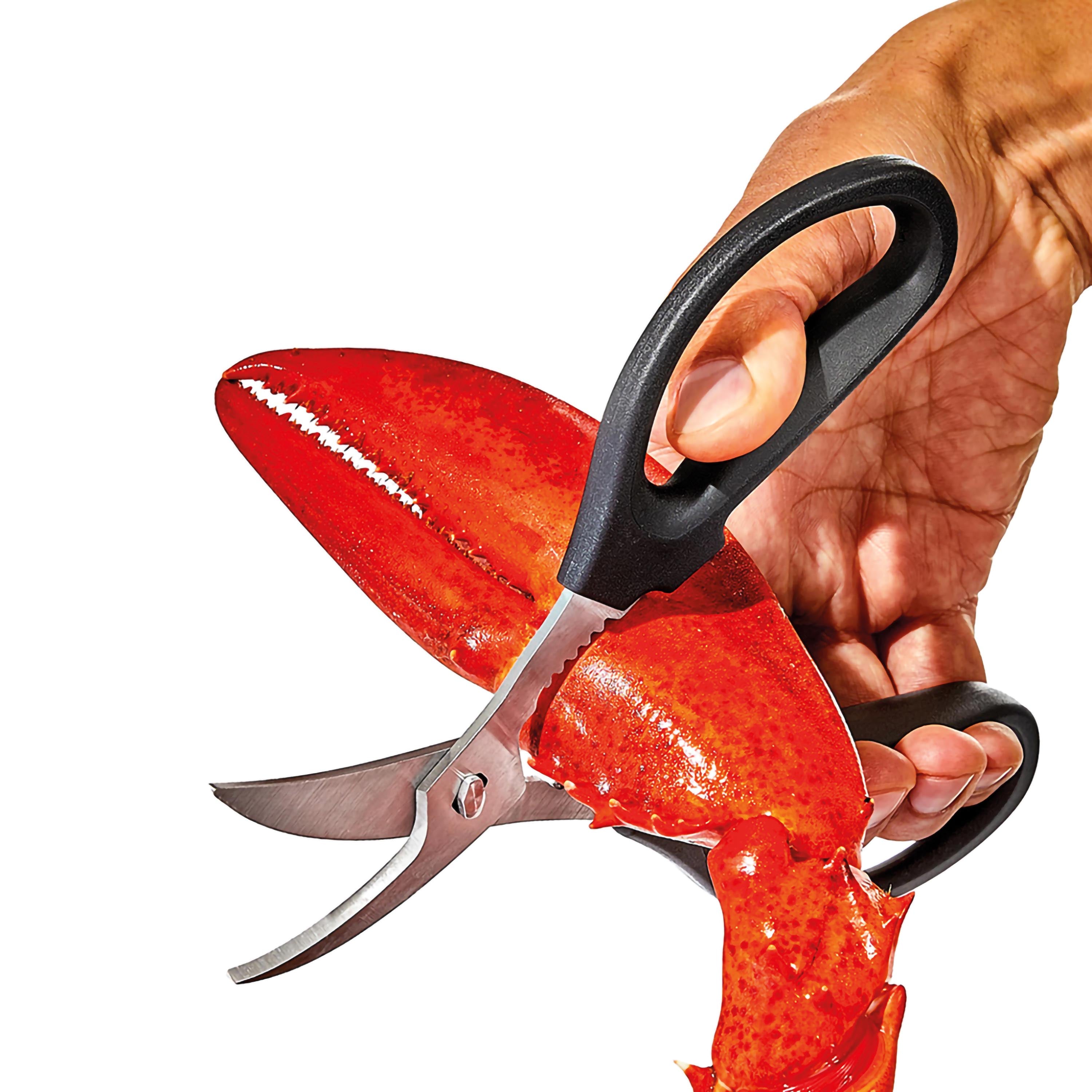 Acquista Forbici da cucina in acciaio inossidabile per pollame e ossa di pollo, per addensare forte, per tagliare la carne e tagliare le verdure in Italia a partire da 87 Acquista Forbici da cucina in acciaio inossidabile per pollame e ossa di pollo, per addensare forte, per tagliare la carne e tagliare le verdure in Italia a partire da 87