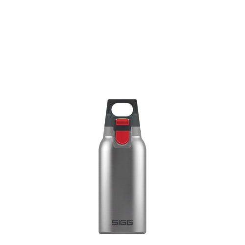 Thermos Hot&Cold One 300 ml Silver sigg SI H&C30 SV Kunzi Shop