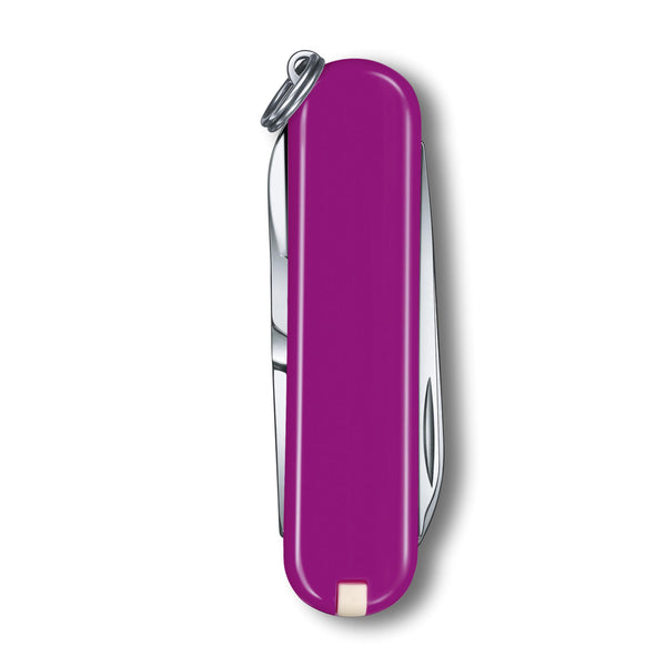 Multiuso Classic SD Tasty Grape victorinox V-0.62 23.52G Kunzi Shop