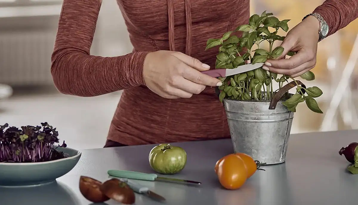 Trasforma la tua cucina in uno spazio smart e sostenibile